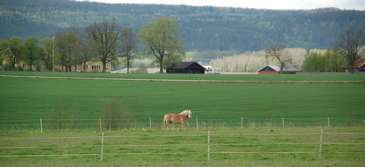 Vallby Farm Camp Örebro Dış mekan fotoğraf