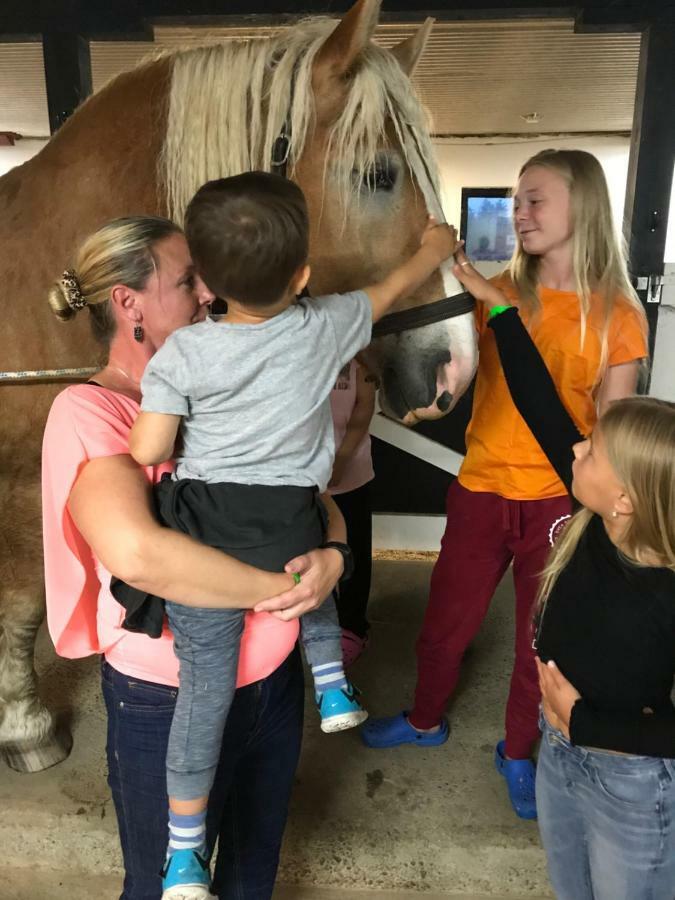 Vallby Farm Camp Örebro Dış mekan fotoğraf